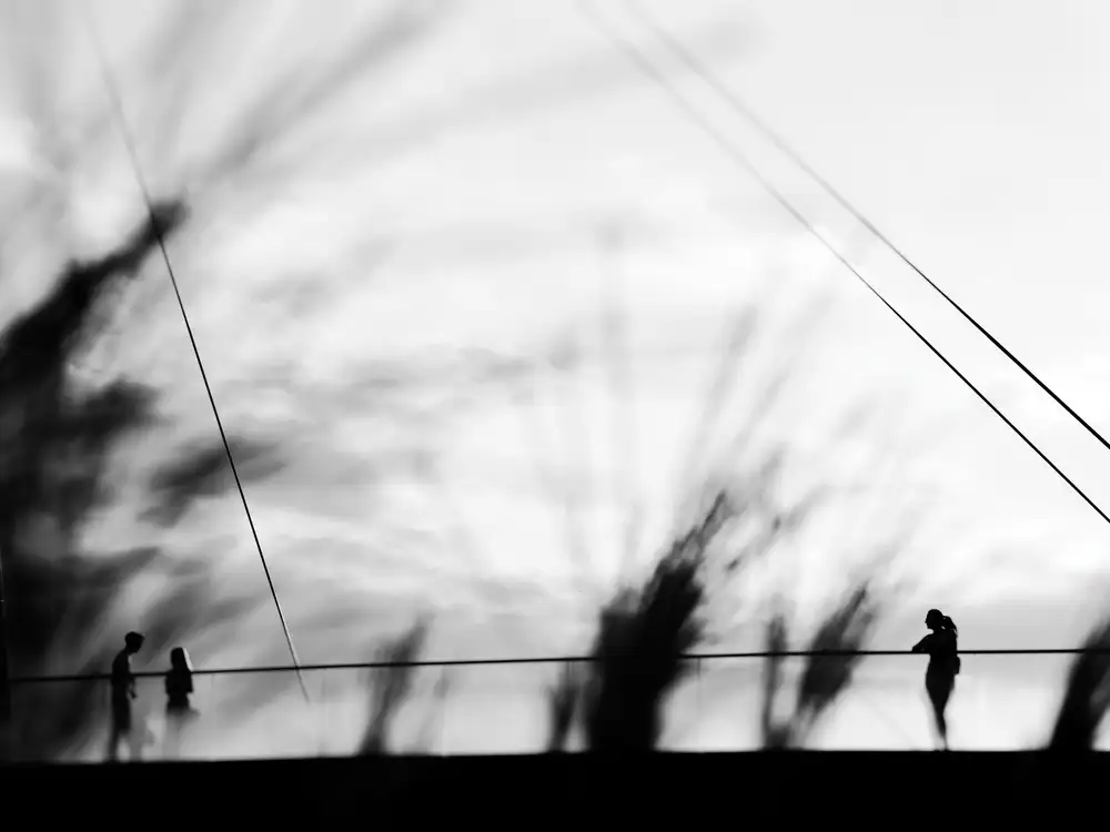 Surleac, Marius: Wunsch