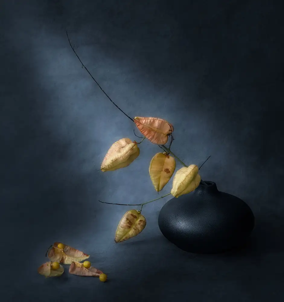 Ning, Aidong: Seeds in Husks
