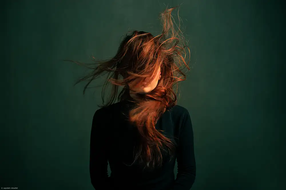 Niksefat, Sepideh: Fluid II