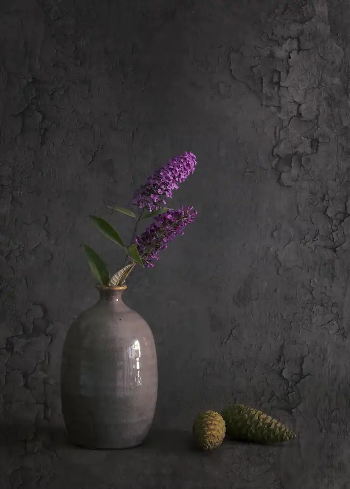 Kiral, Cicek: Frais du jardin