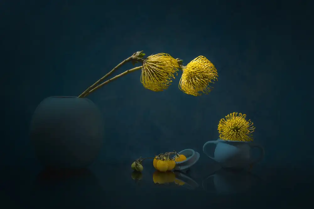 Jacobs, Lydia: Leucospermum giallo