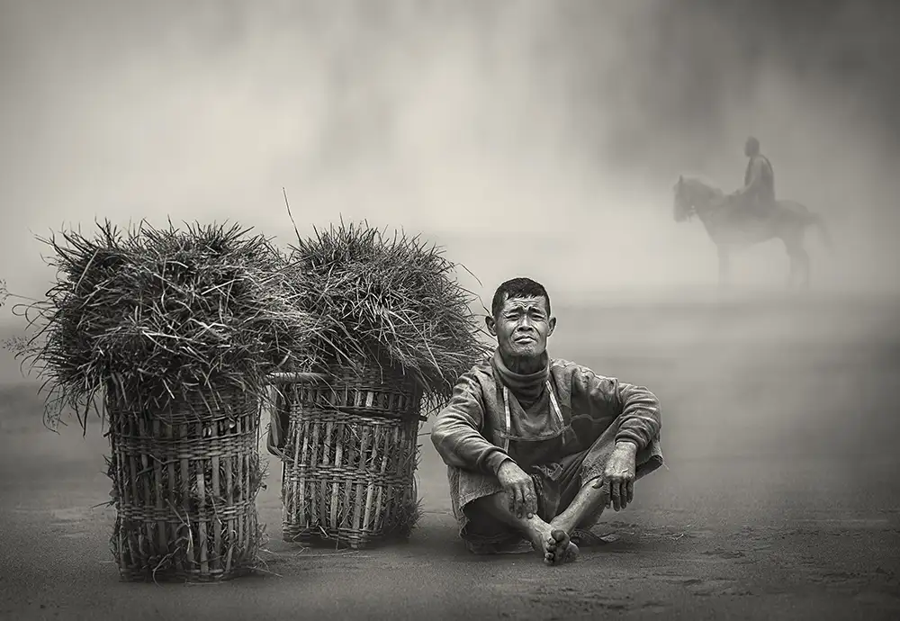 Kisworo, Sebastian: L'uomo dell'erba e l'uomo del cavallo II