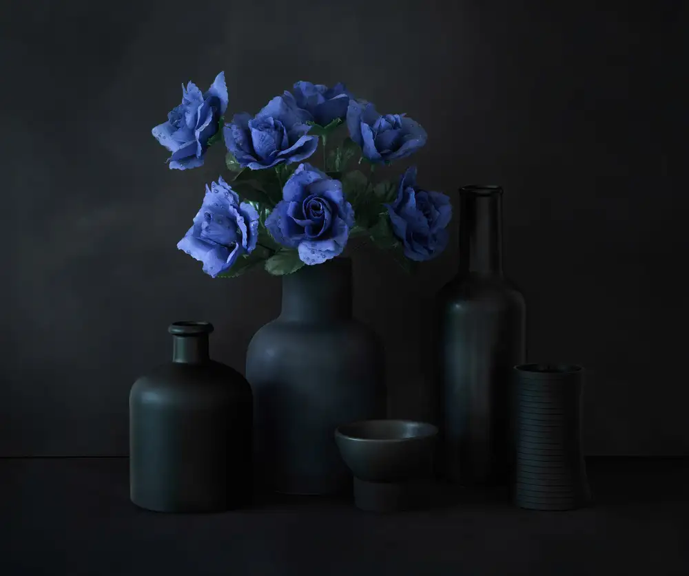 Hammer, Jacqueline: Mitternachtsblau