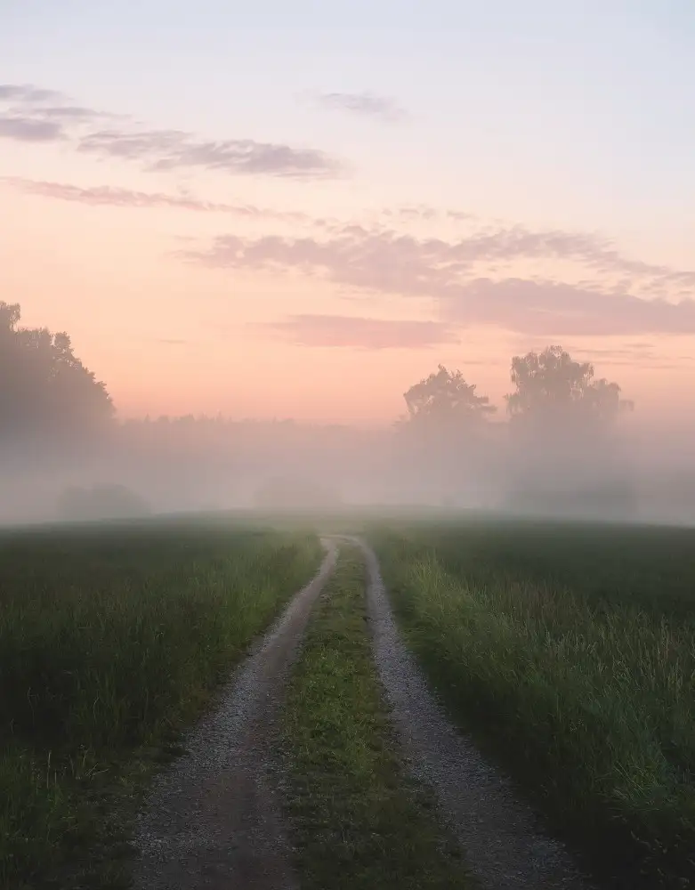 Lindsten, Christian: Camino brumoso