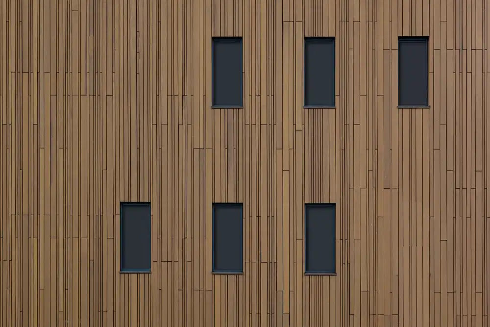 Luycx, Theo: Die braune Wand
