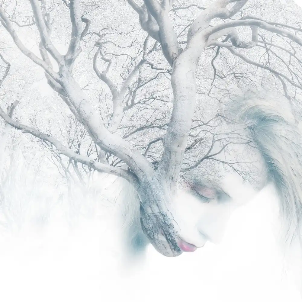 Gregorio, Tommaseo: The tree