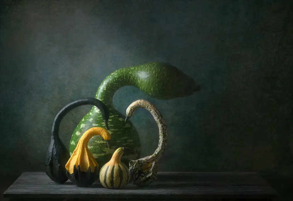 Catherine, W.: Swan Gourds