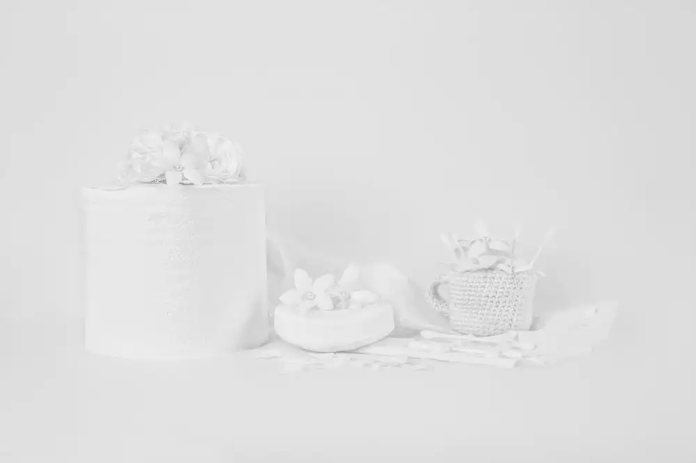 Qiu, Jenny: Bianco su bianco