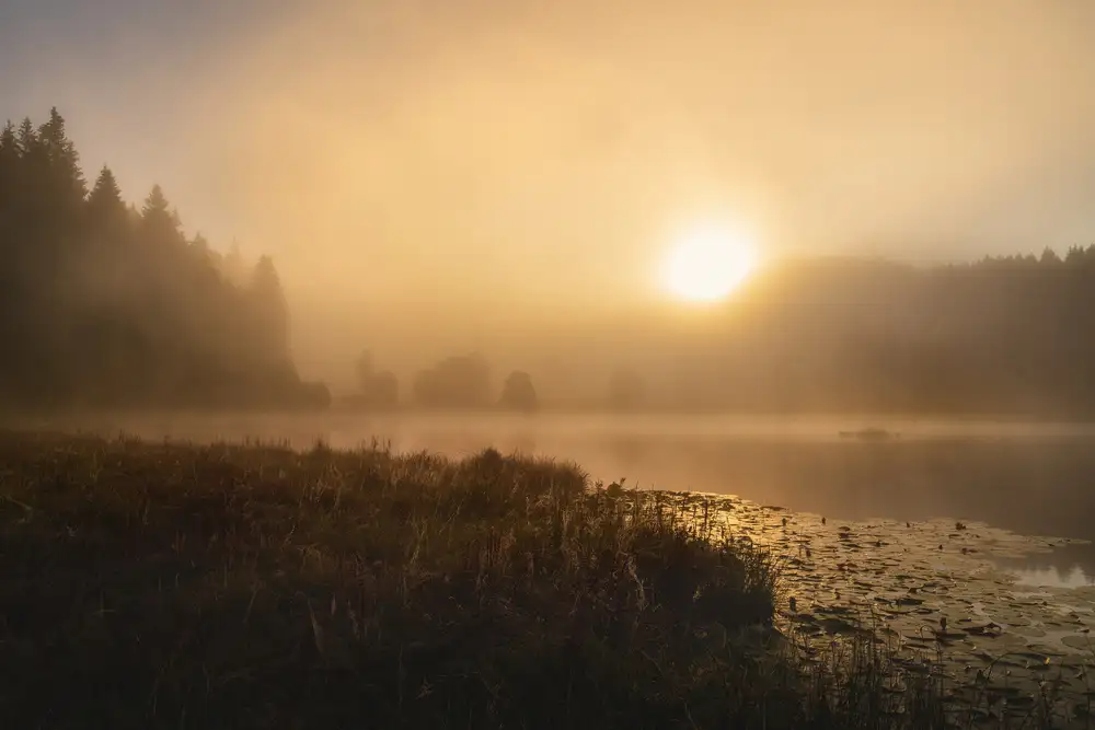 Maier, Norbert: Das unglaubliche Licht eines Oktobermorgens