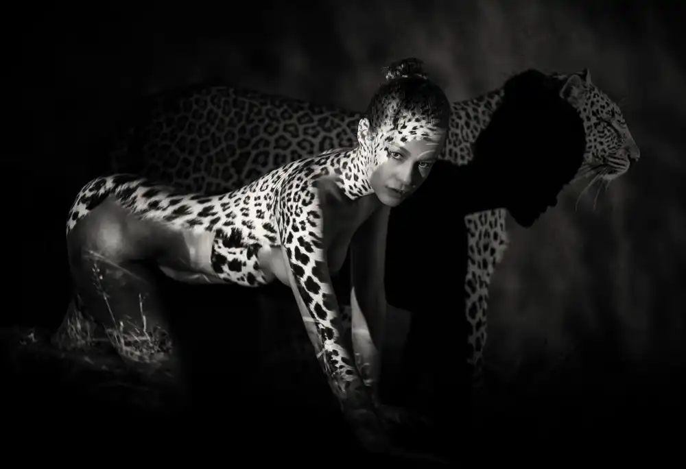 Yang, James: The Leopard