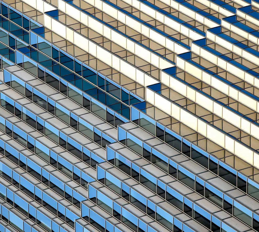 Wechsler, Robin: Line, form, color and repeat.
