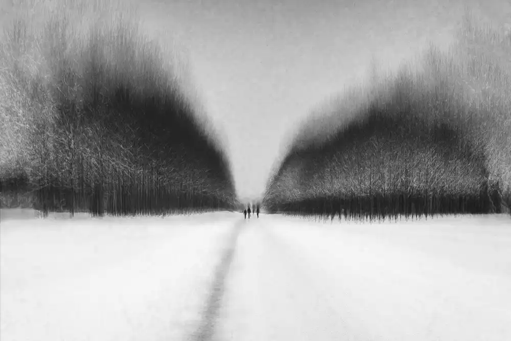 Schleicher-Schwarz, Roswitha: snow walk