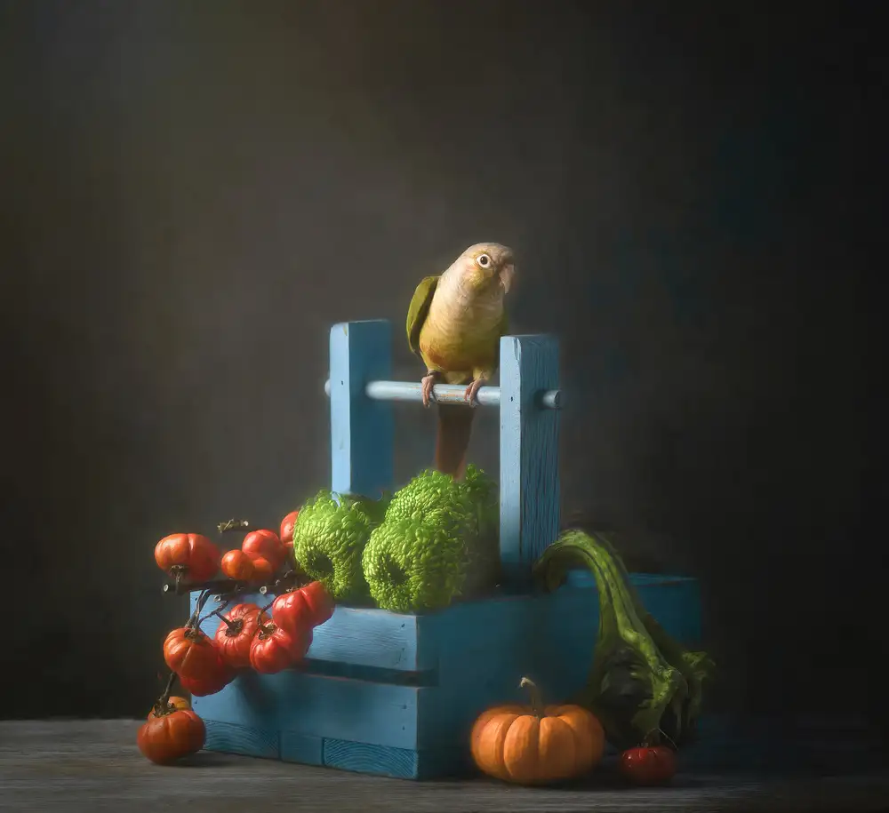 Catherine, W.: Welcome Fall