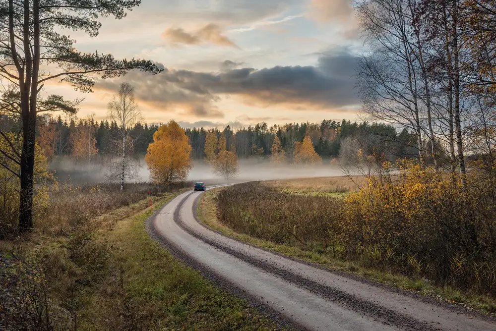 Lindsten, Christian: Drive in autumn colors
