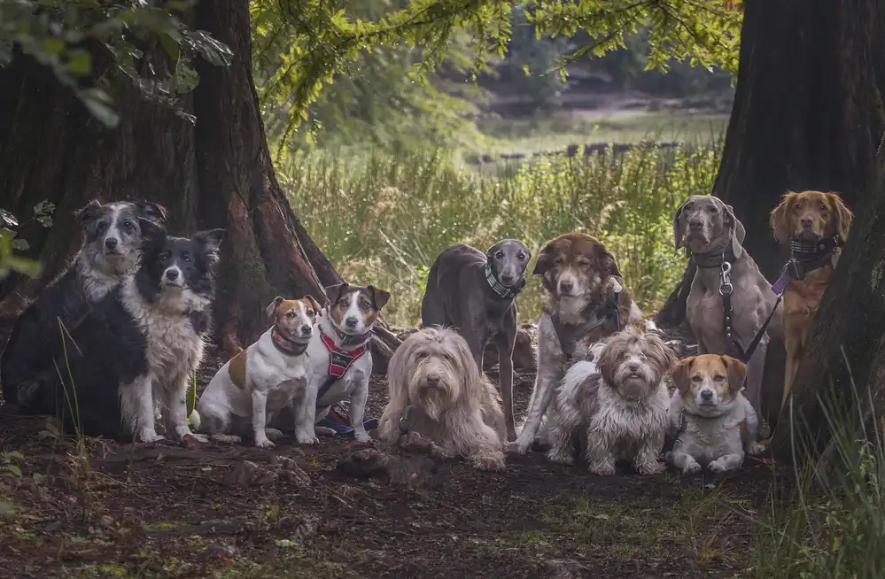 Hoog, de Roelof: Family portrait