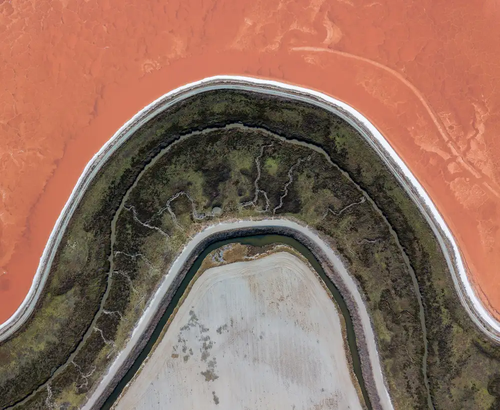 Eliash, Tomer: Topographic projection
