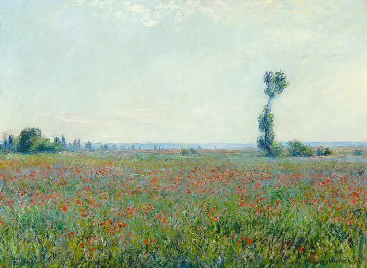 Monet, Claude: Poppy field