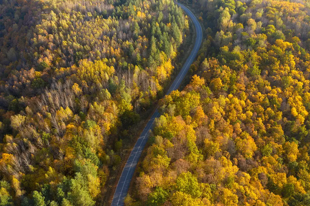 Doronin, Dmitry: Through autumn