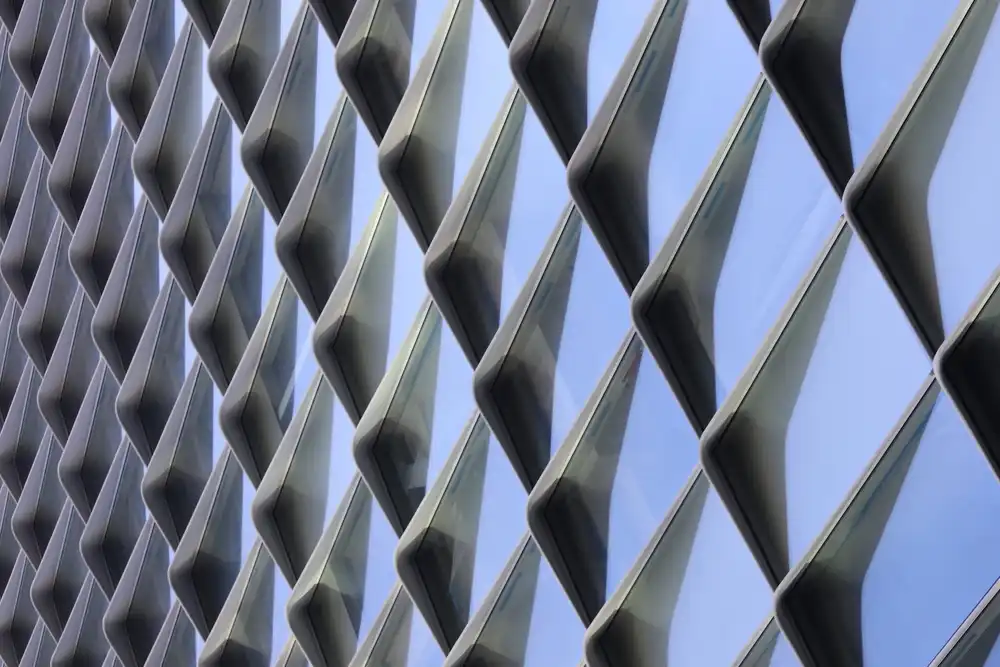 Wechsler, Robin: A Little Bit Like Shark Fins