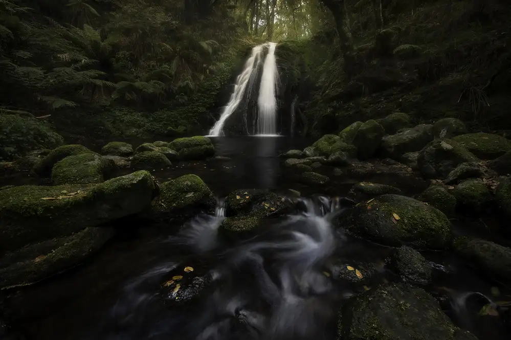 Zhang, Yan: A Graceful Waterfall