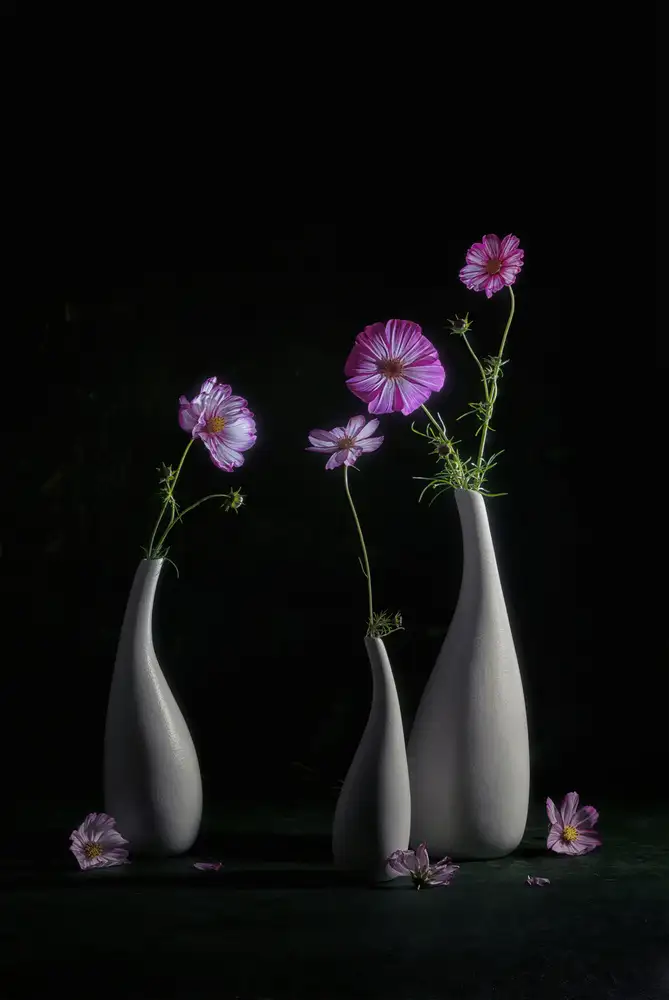 Jacobs, Lydia: Cosmo elegante