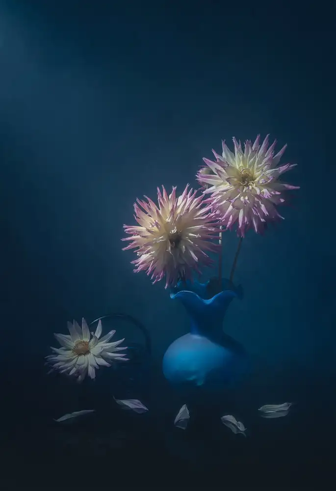 Jacobs, Lydia: Hübsche Dahlien