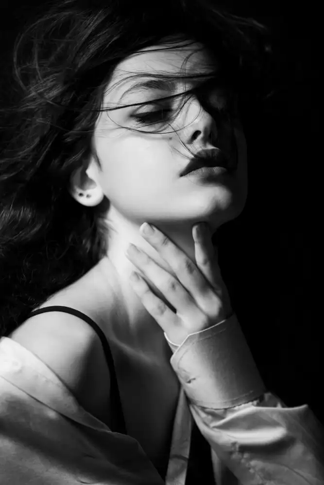 Niksefat, Sepideh: Mania II