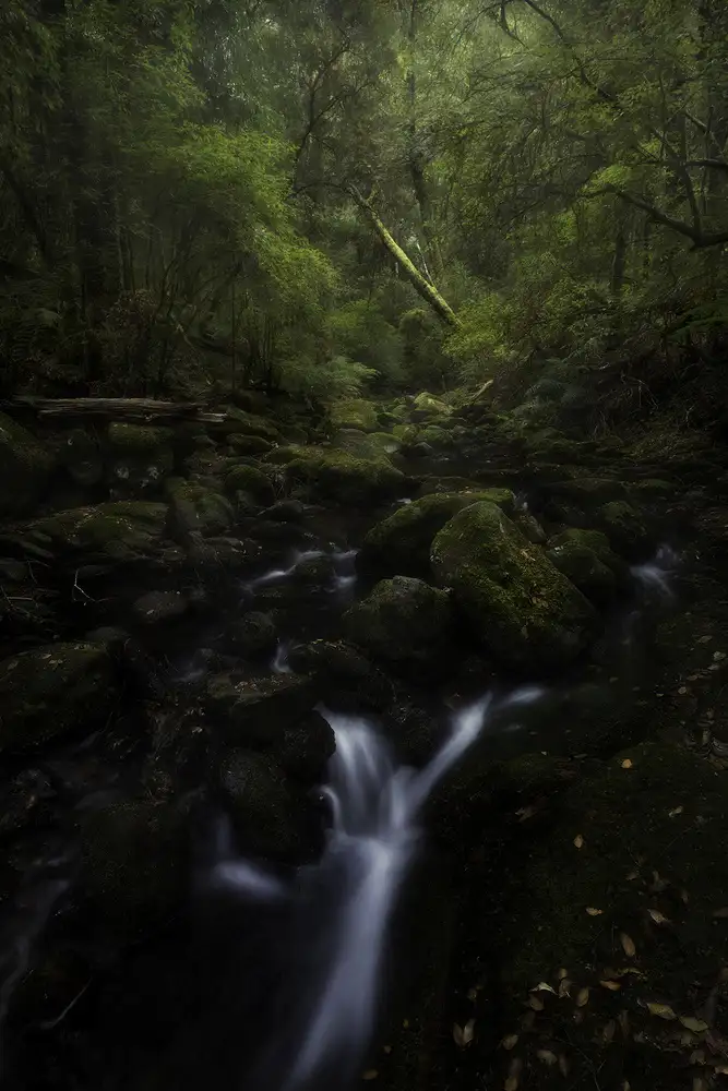 Zhang, Yan: Down in the Valley