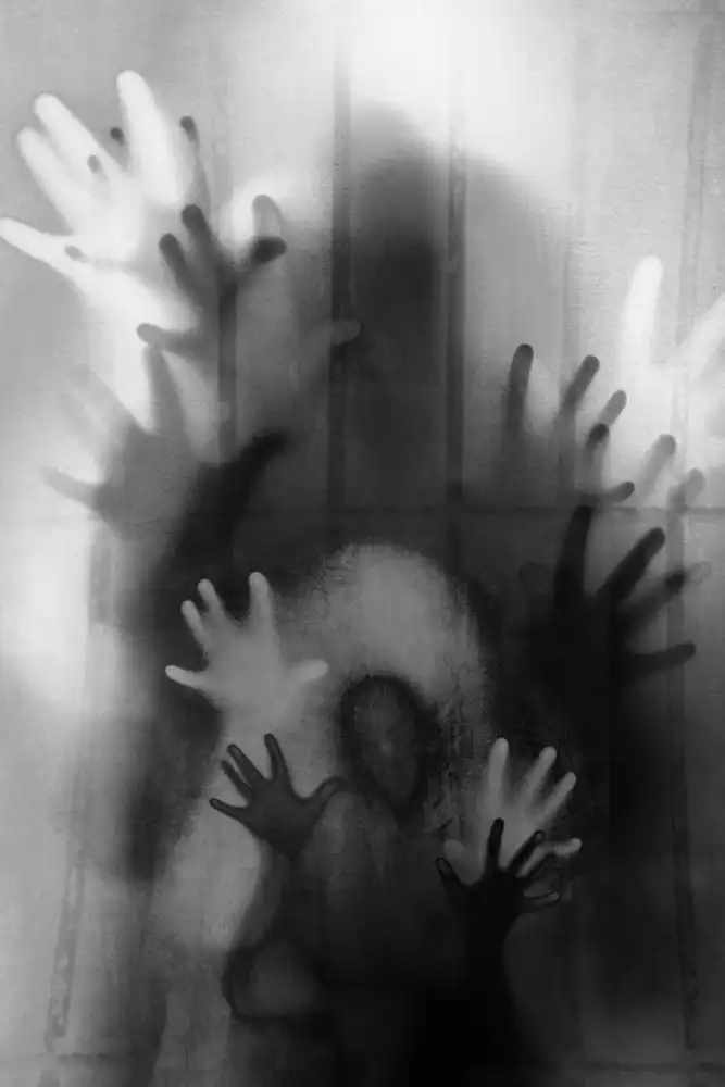 Kiral, Cicek: Imprisoned Inside Your Mind