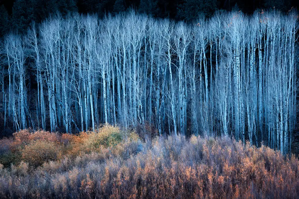 Xu, Mei: Ende Herbst