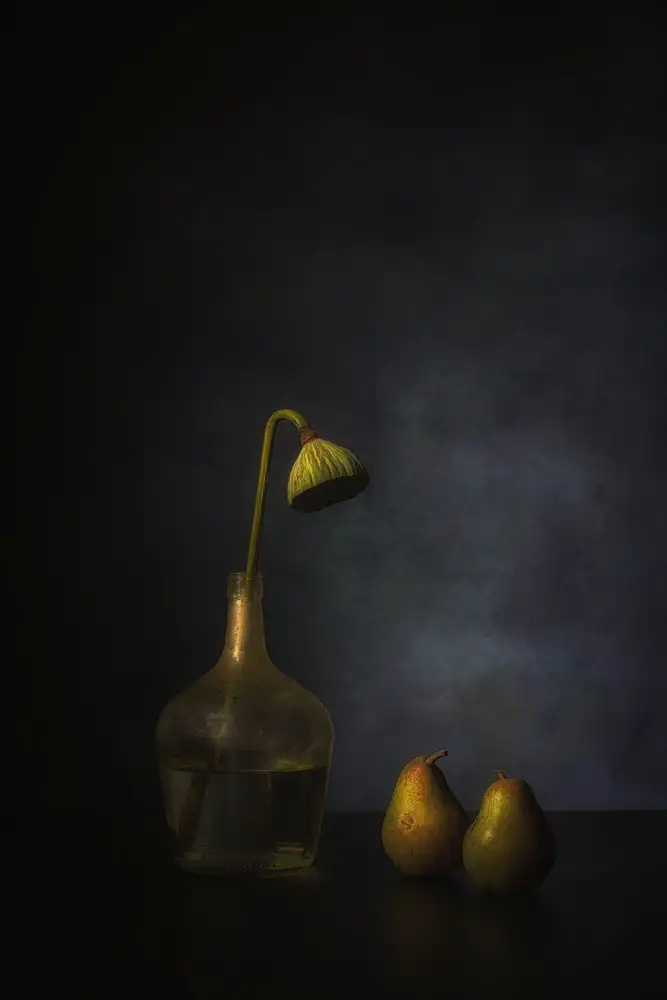 Dingemans, Saskia: Sentiments d'octobre