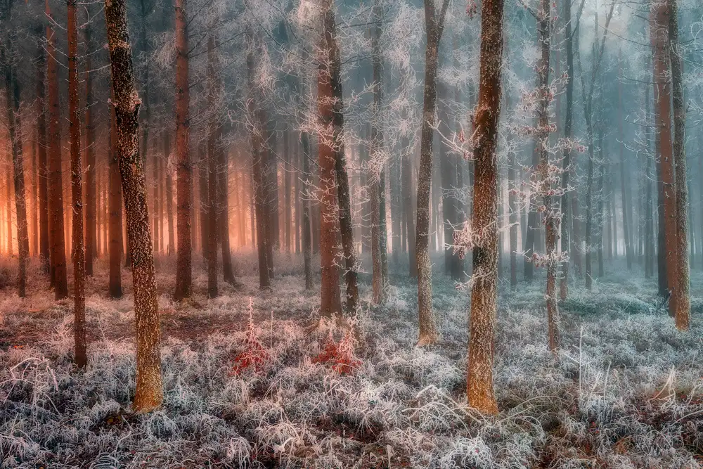 Kravanja, Jure: Glace et Feu