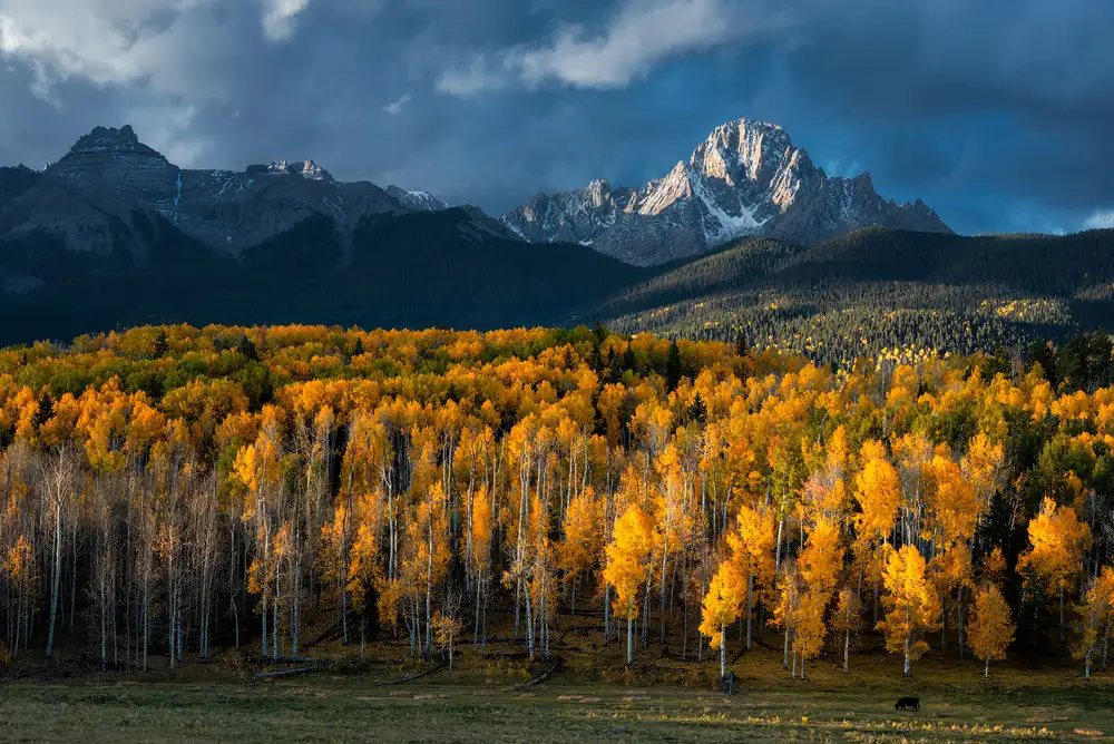 Xu, Mei: Mt Sneffels in Autumn