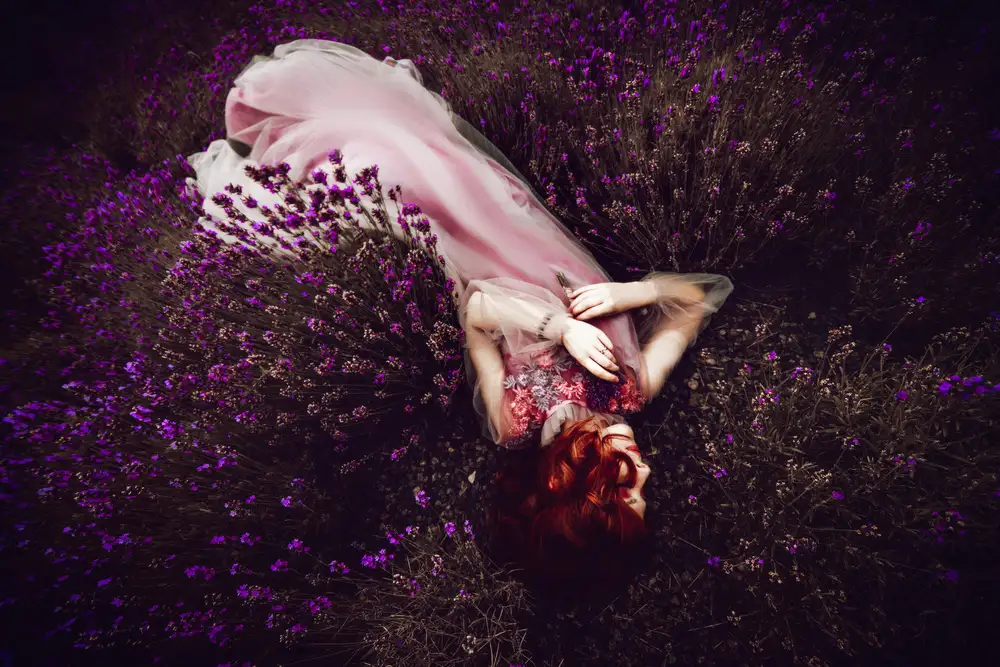 Bolgov, Axe Ruslan: In dreams of lavender fields, dancing in the summer sun, is where I always find her