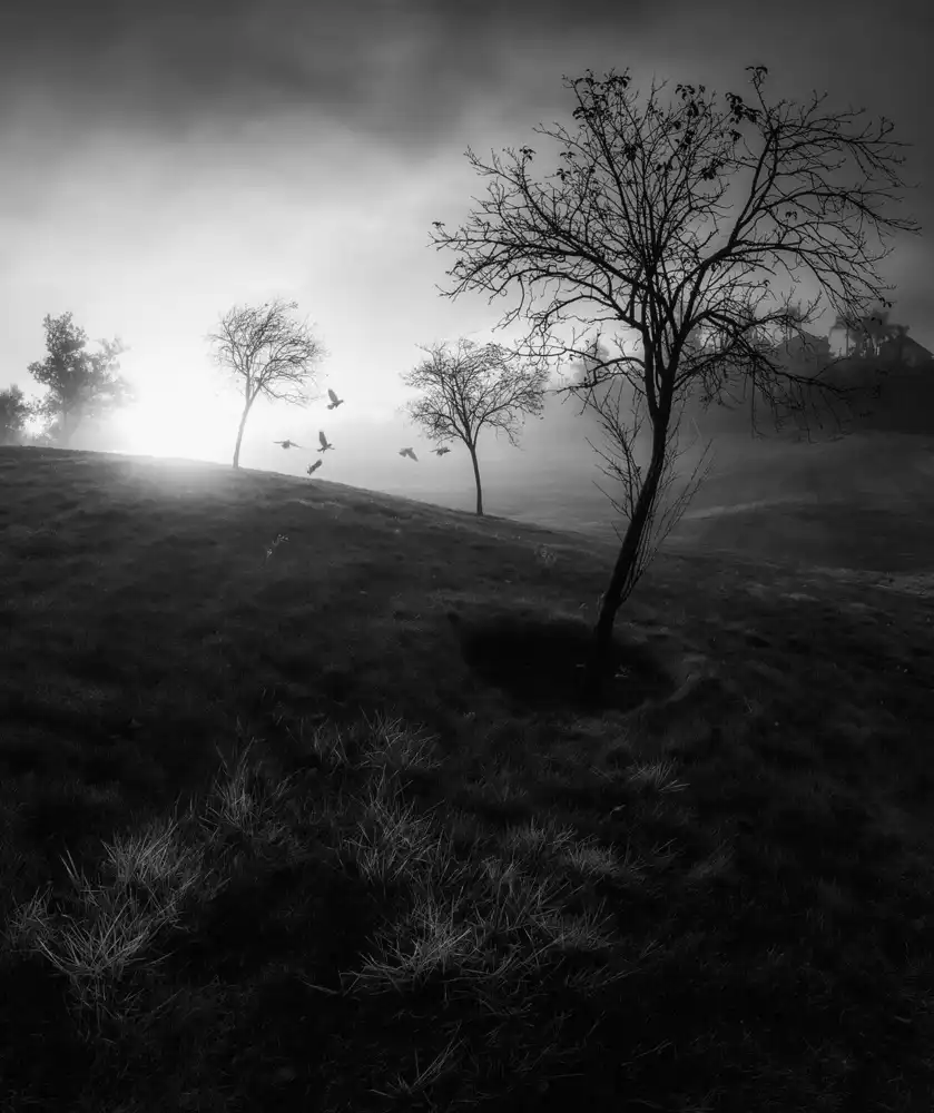 Ning, Aidong: Morning Fog