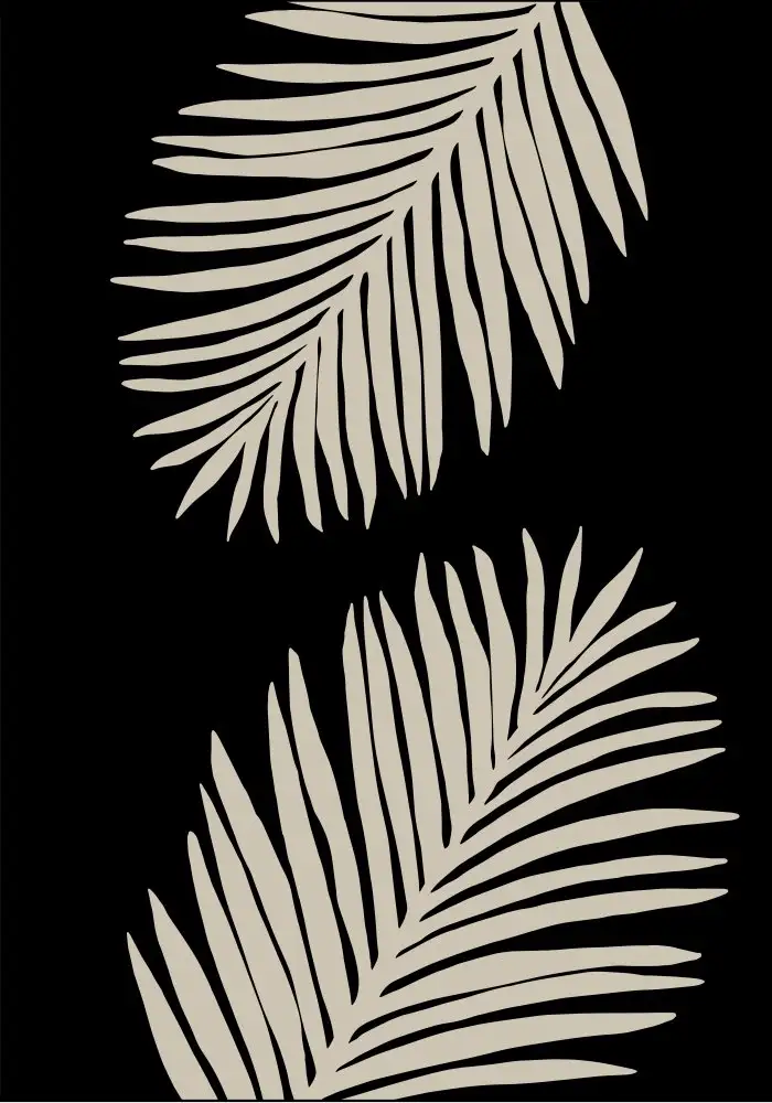 Studio, Pictufy: Feuilles de palmier