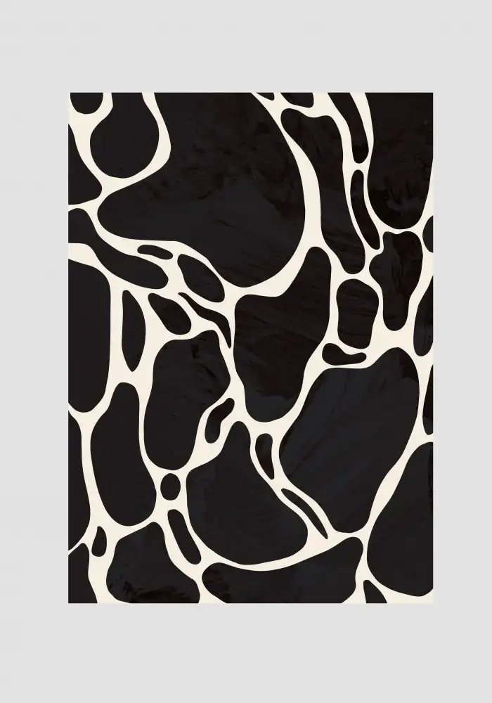 Studio, Pictufy: Girafe Gris