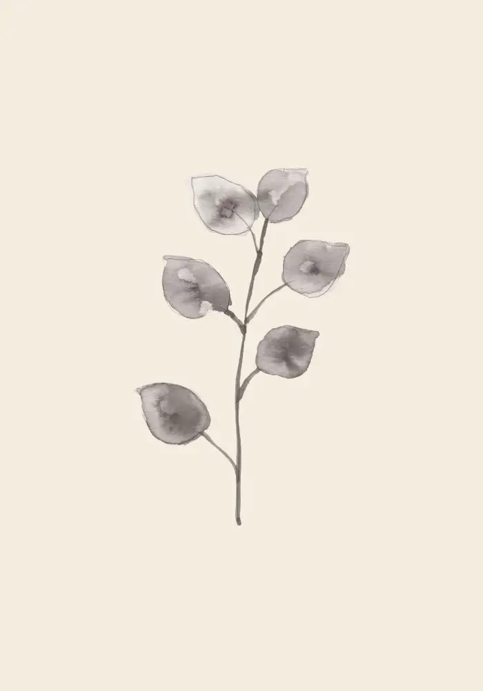 Studio, Pictufy: Brindille d'eucalyptus
