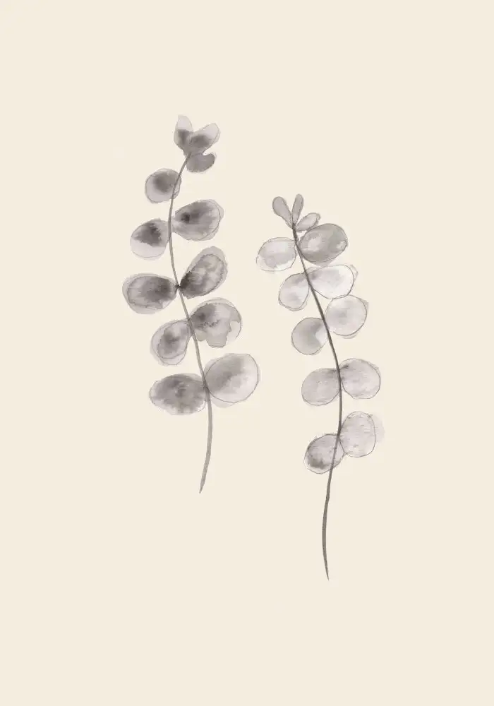 Studio, Pictufy: Brindilles d'eucalyptus