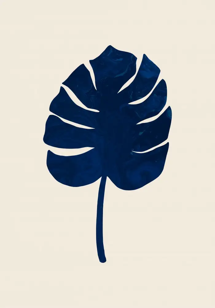 Studio, Pictufy: Monstera Marbre Bleu