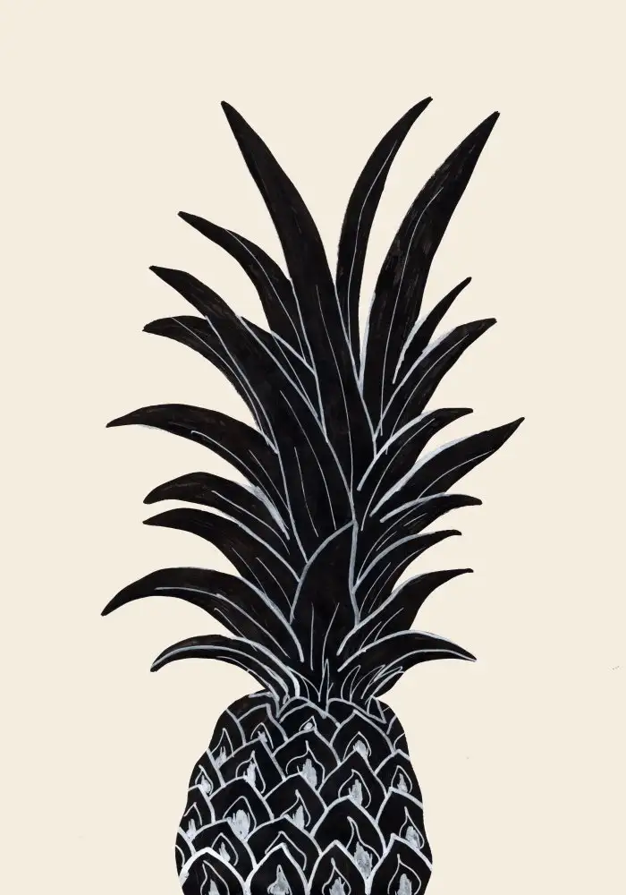 Studio, Pictufy: Ananas noir