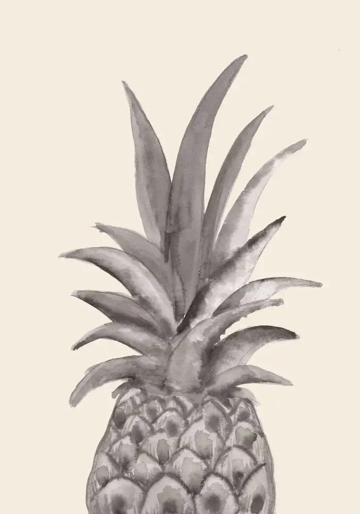 Studio, Pictufy: Tinte Ananas