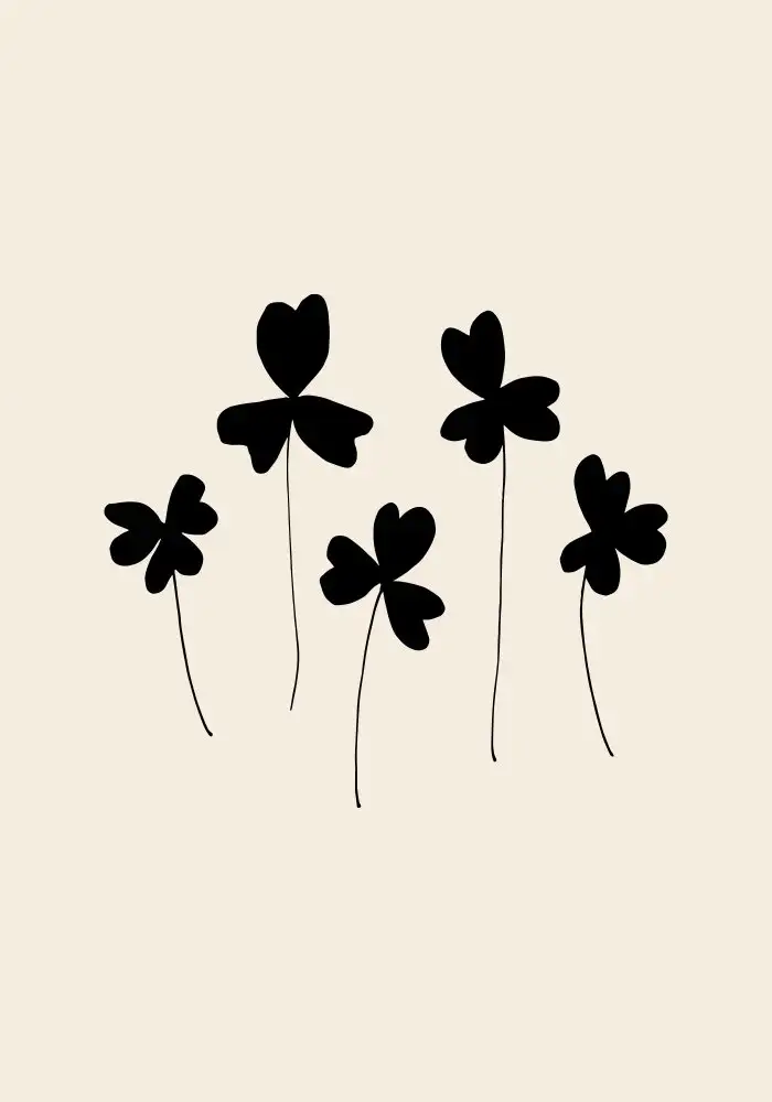 Studio, Pictufy: Black Sorrel