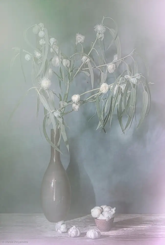 Dingemans, Saskia: Winter glow.