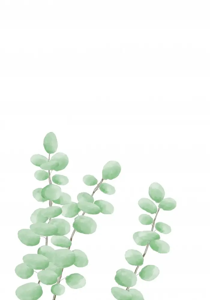 Studio, Pictufy: Sucursales