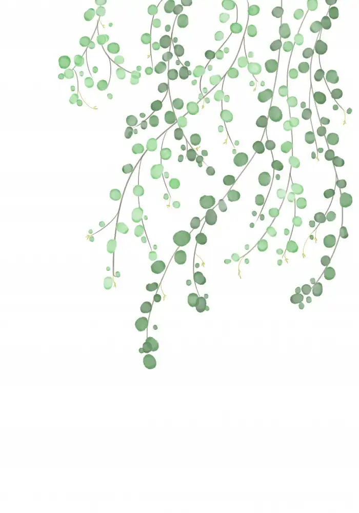 Studio, Pictufy: Arbre de bouleau