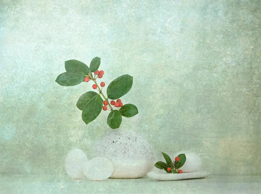 Catherine, W.: Holly Berries