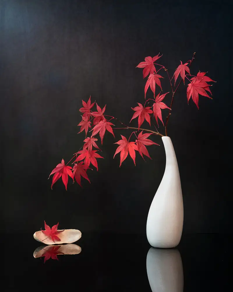 Ning, Aidong: Maple Leaves