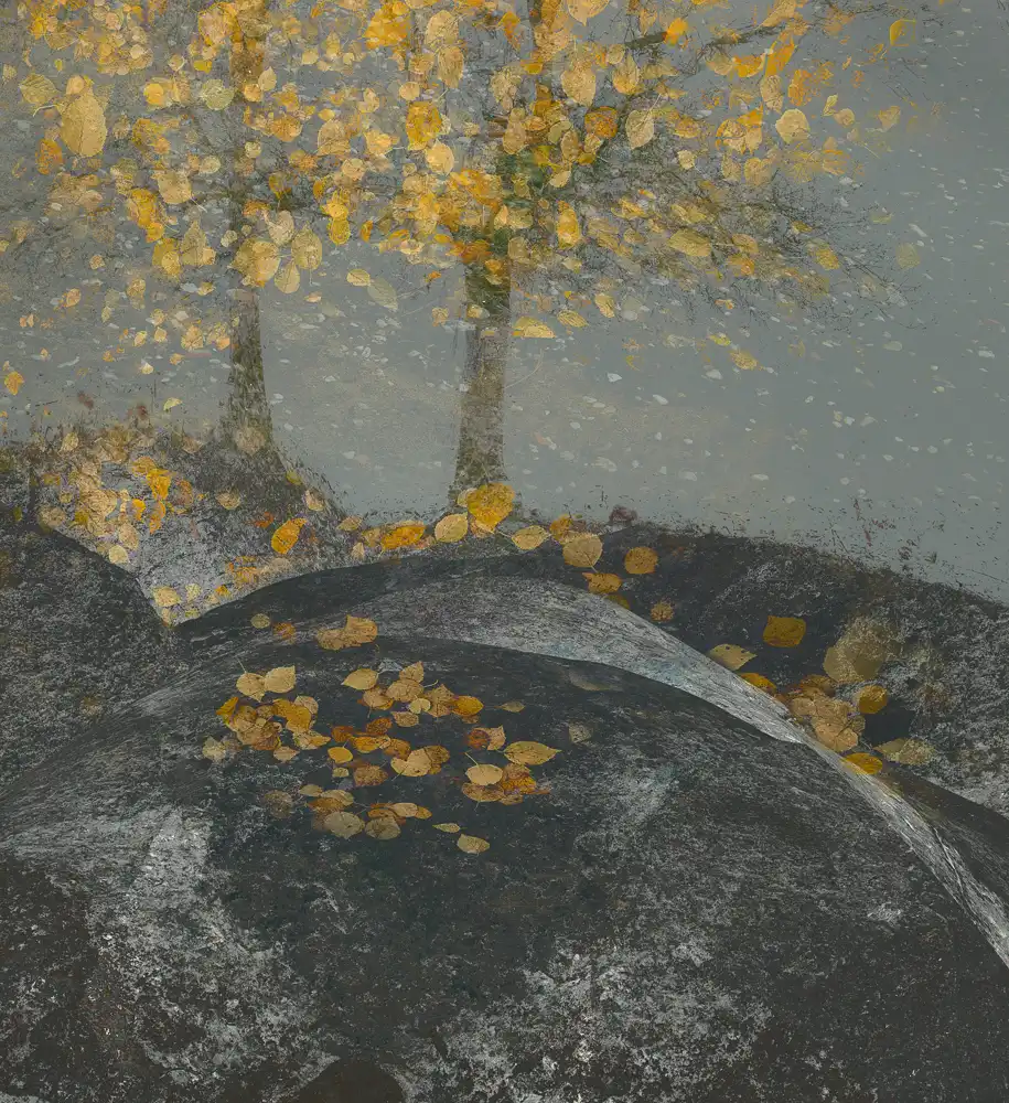 Talen, Nel: Falling leaves