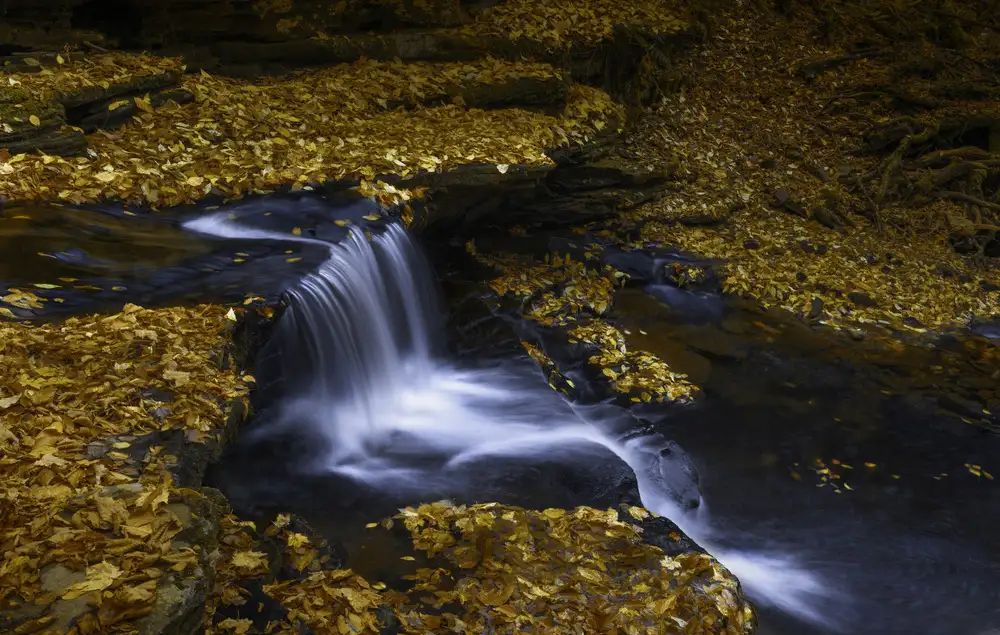 Binbin, L.: Cascade d'automne